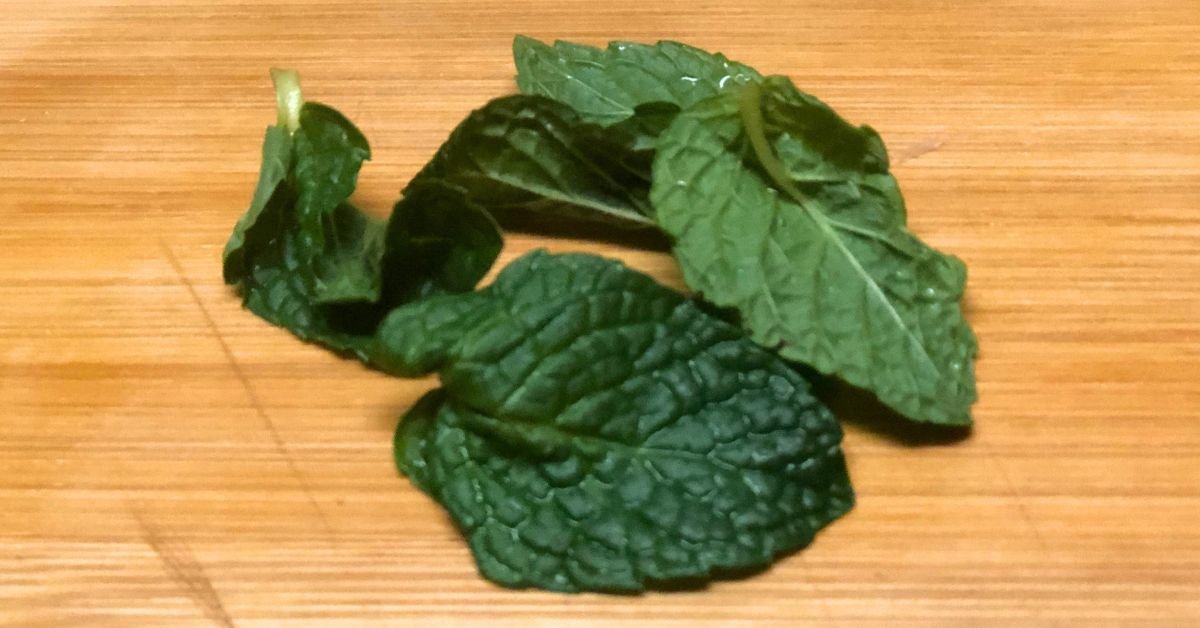 Fresh mint leaves used in Israeli salad recipe for bright flavor.