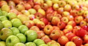A variety of apples displayed in a grocery store bin.
