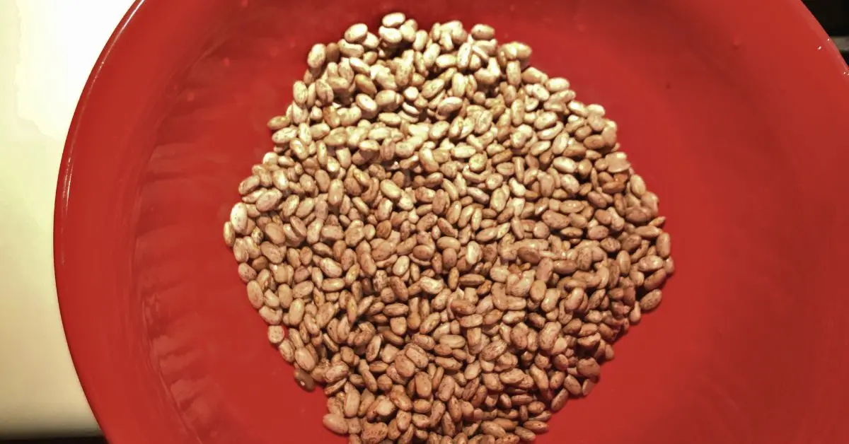 dried, cleaned, pinto beans in a red bowl
