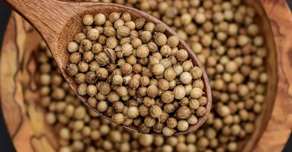 Whole coriander seeds on a wooden spoon with blurred coriander seeds in the background