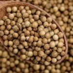 Whole coriander seeds on a wooden spoon with blurred coriander seeds in the background
