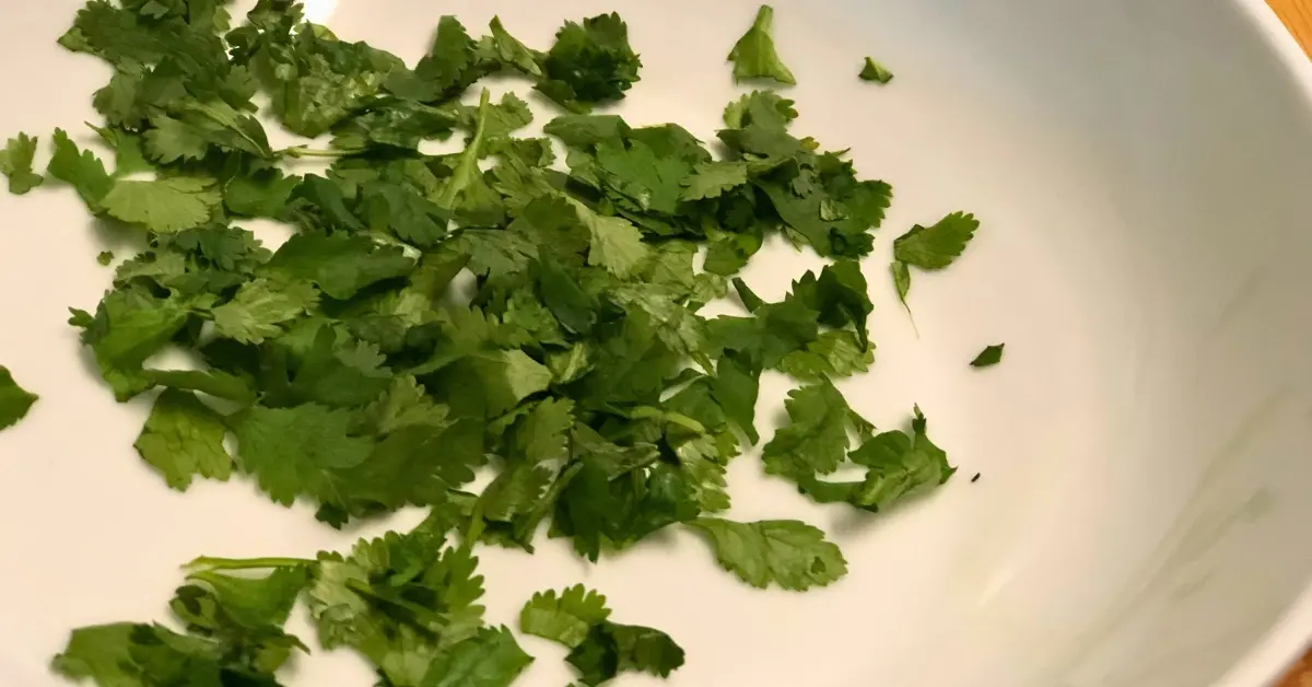 Close up of torn fresh cilantro leaves in a white bowl