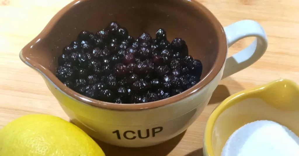 Wild blueberries in a measuring cup with a lemon and sugar in a small bowl for making blueberry compote.