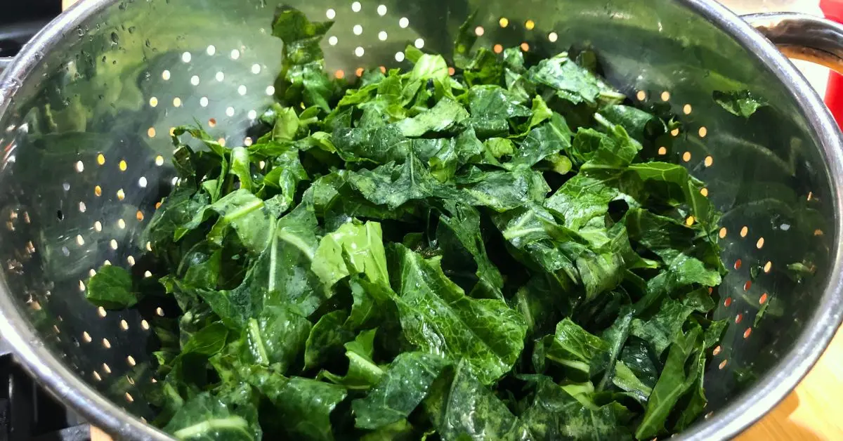 Fresh washed and cut collard greens ready for cooking